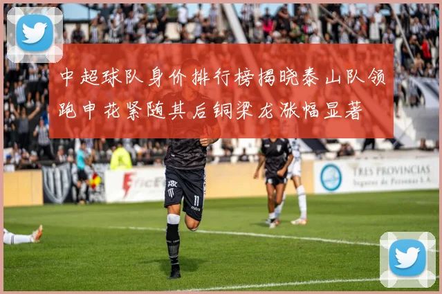 中超球队身价排行榜揭晓泰山队领跑申花紧随其后铜梁龙涨幅显著