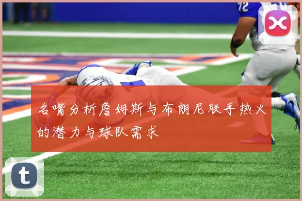 名嘴分析詹姆斯与布朗尼联手热火的潜力与球队需求